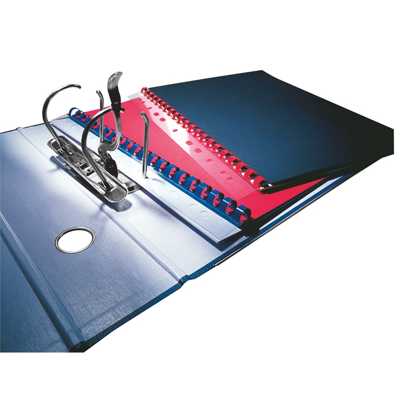 Bild von Leitz Abheftstreifen 15783 DIN A4 PP transparent 25 St./Pack.