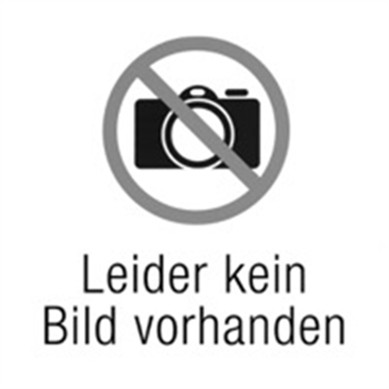 Bild von trodat Datumstempel mit Text "Eingegangen" printy-dater 4850/L selbstfärbend blau rot